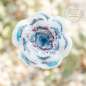 Preview: Zauberhafter Gartenstecker Glasblume weiß mit blau-lila Streifen - ca. 100 cm - Gartendekoration